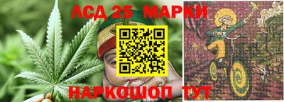 стаф Донской