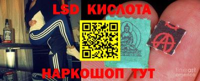 стаф Донской