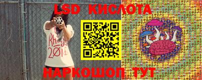 стаф Донской