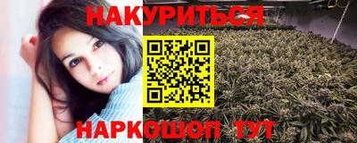 стаф Донской
