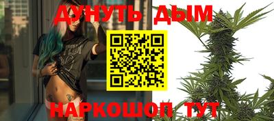стаф Донской