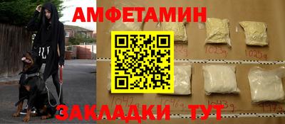 стаф Донской