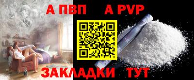 стаф Донской
