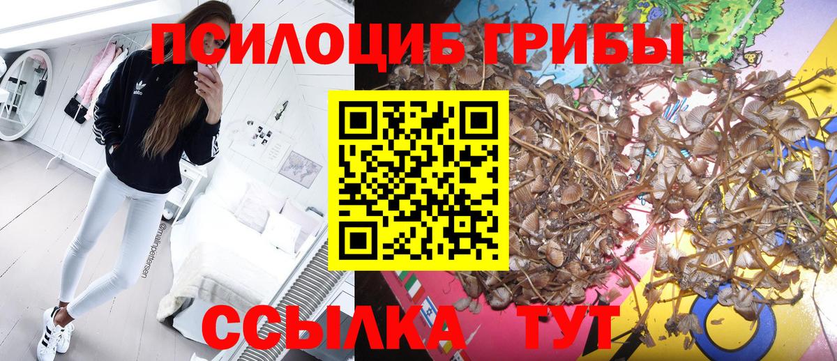 Галлюциногенные грибы прущие грибы Мыски